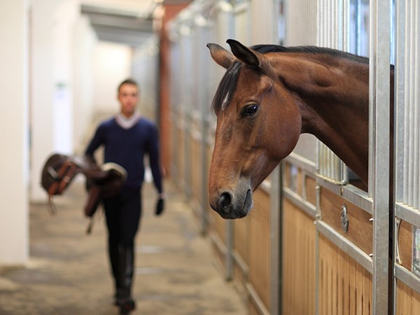 Racecourse Racecourse