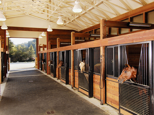 Tourist-attraction Tourist-attraction