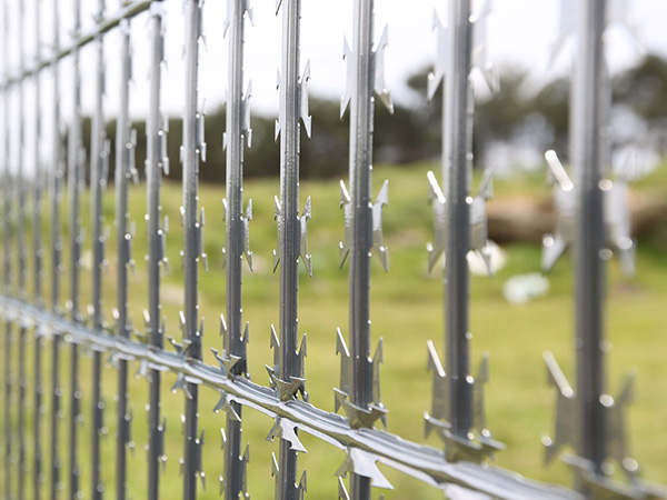 Garden Protection Garden Protection