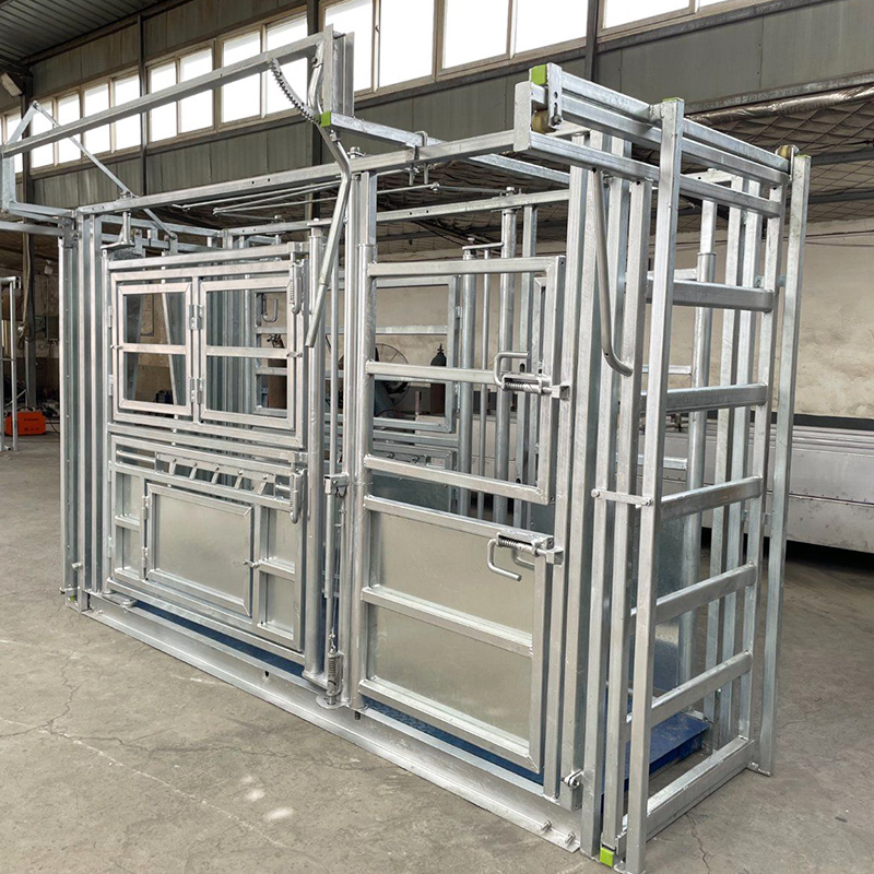 Vet Crush Manufacturer in China Vet Crush Manufacturer in China