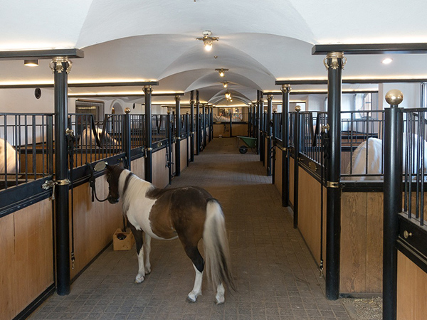 Horse-management Horse-management