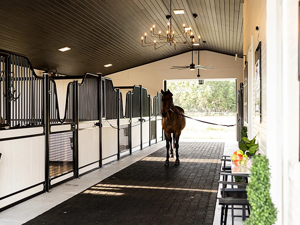 Equestrian Club Equestrian Club