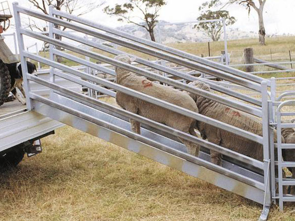 Livestock-Transport Livestock-Transport