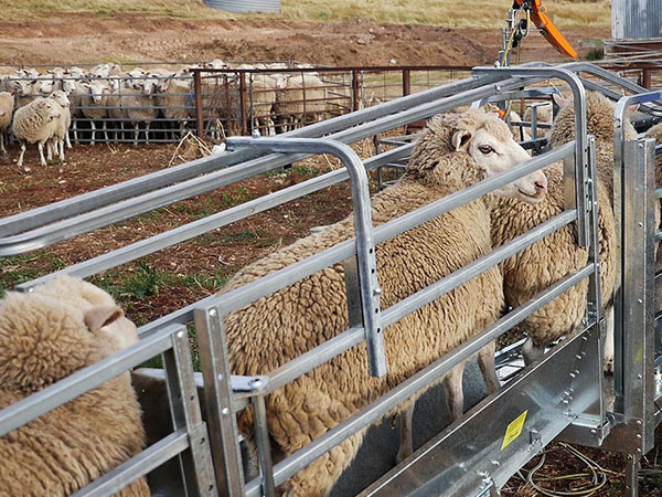 Health-Inspections Health-Inspections