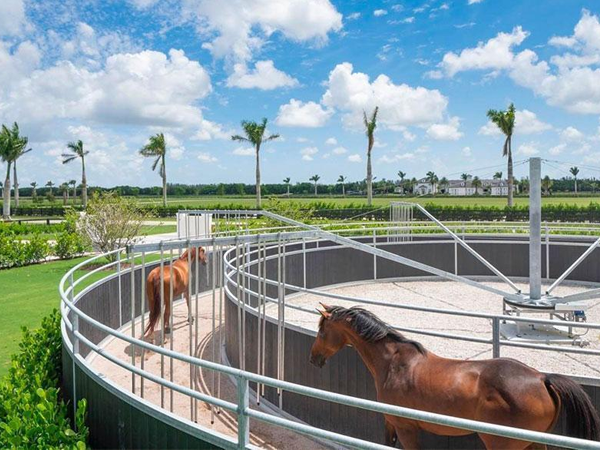 Private-horse-farm Private-horse-farm