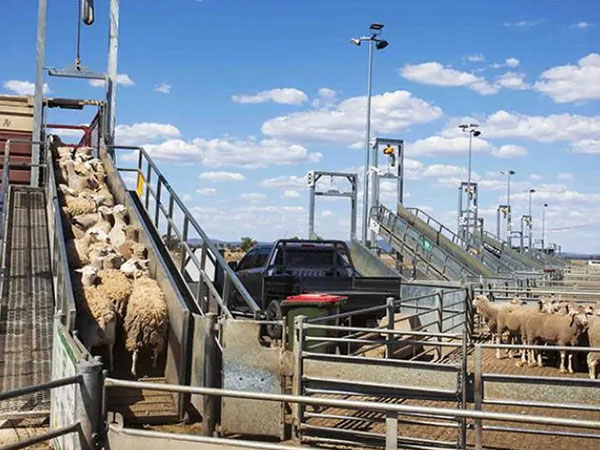 Heavy-duty-loading-ramp Heavy-duty-loading-ramp