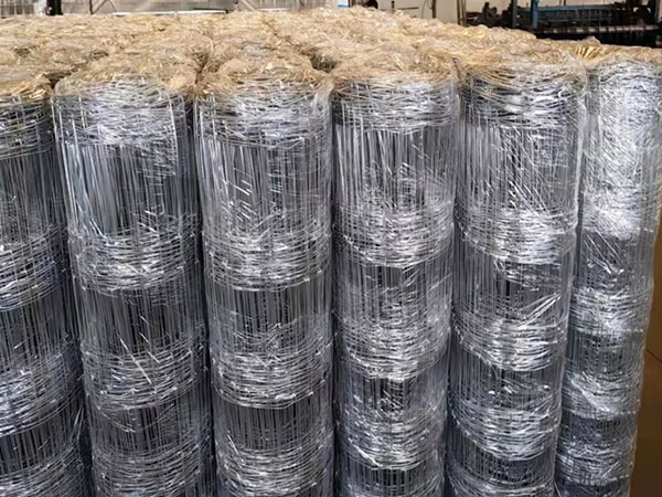 Plastic Film Package