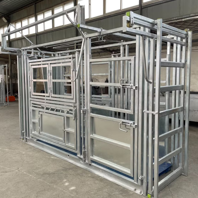 Heavy-Duty Cattle Crush