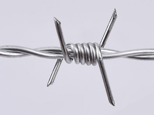 Reverse-twist-double-strand