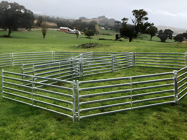 large-scale-grasslands