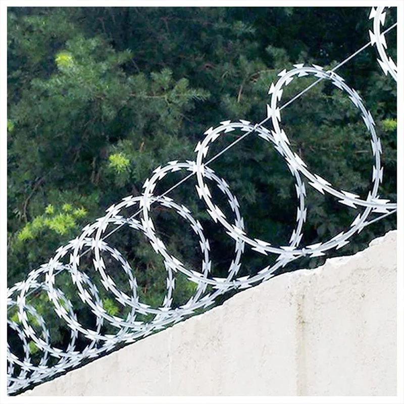 Snake Razor Barbed Wire