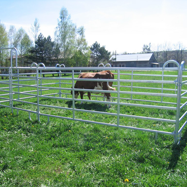 Cattle Panel