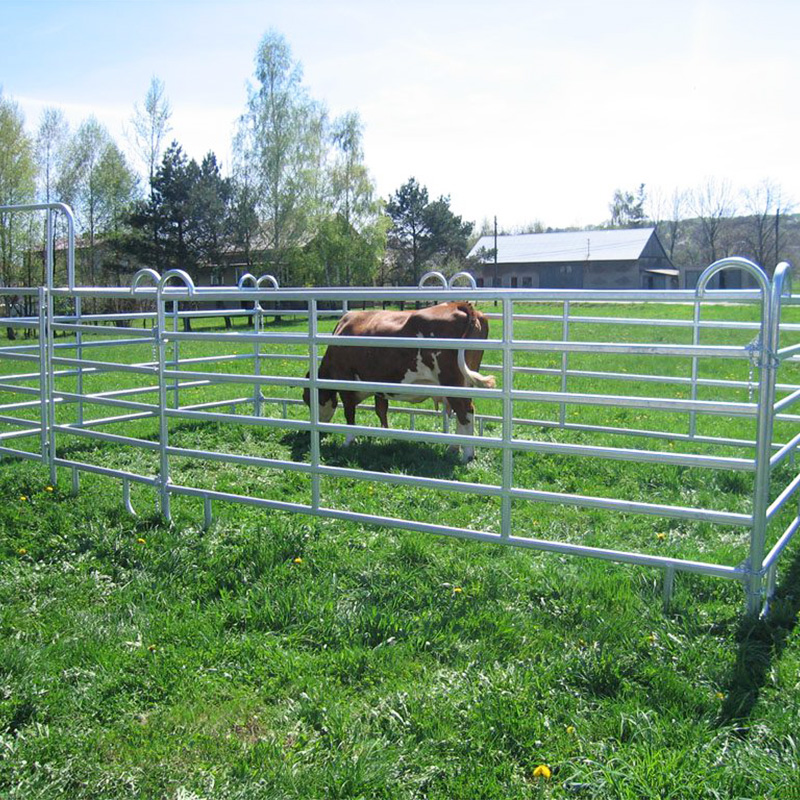 Cattle Panel