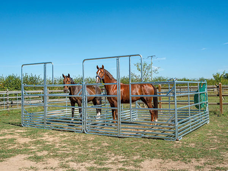 pasture.jpg