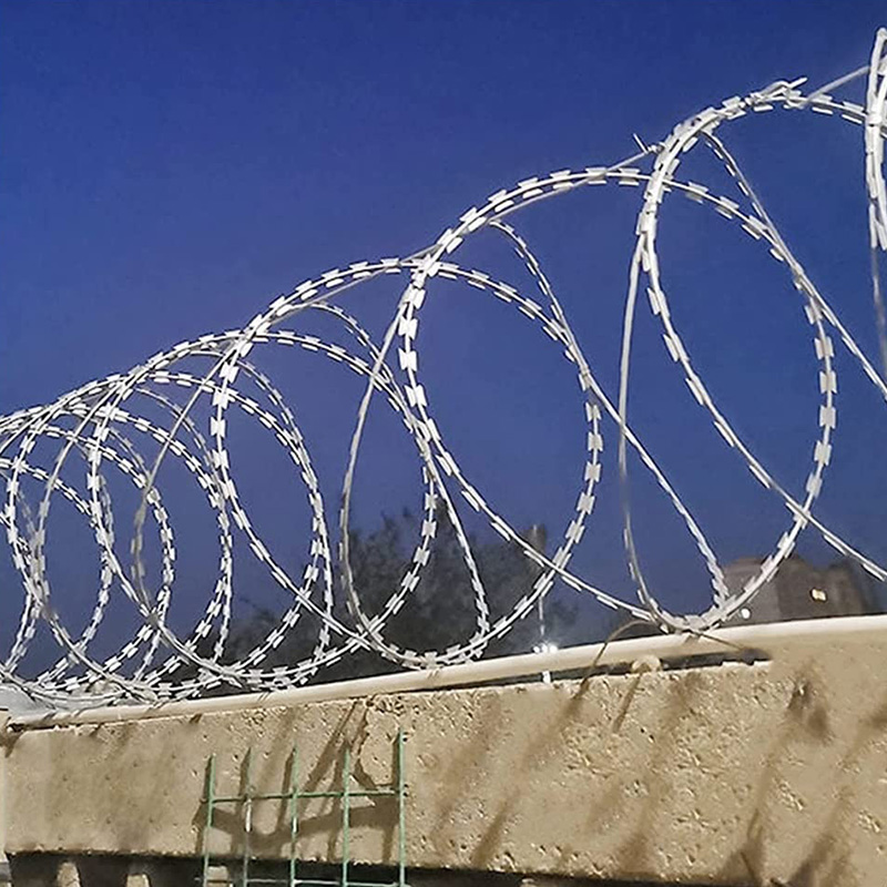 Snake Razor Barbed Wire