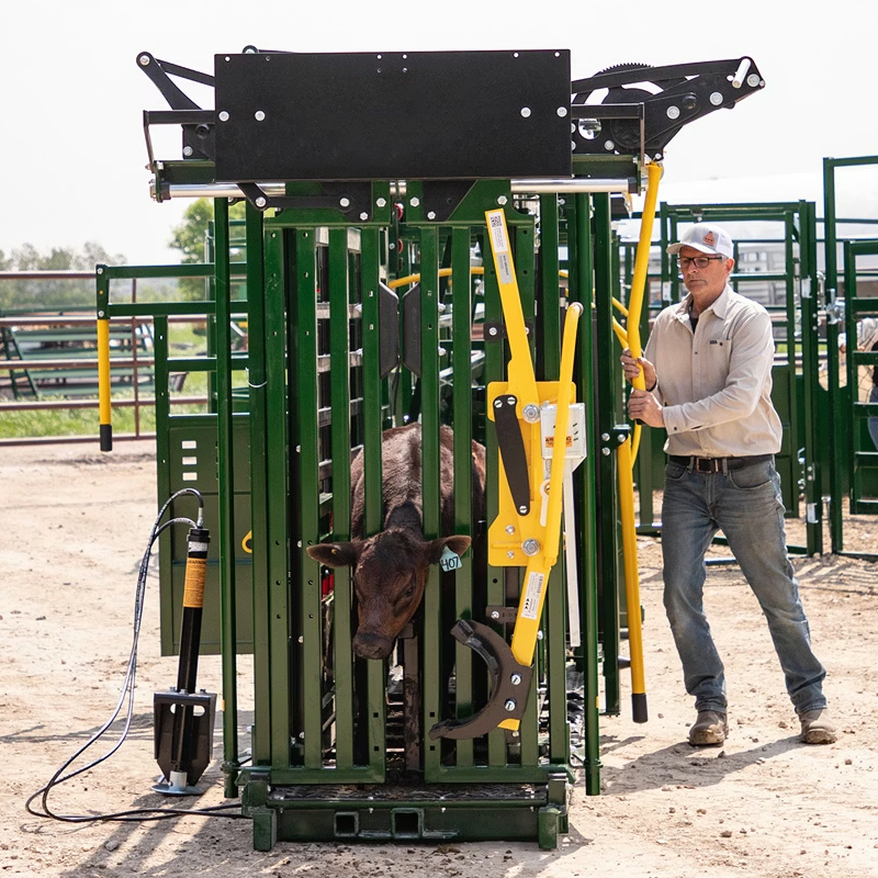 Heavy-Duty Cattle Crush