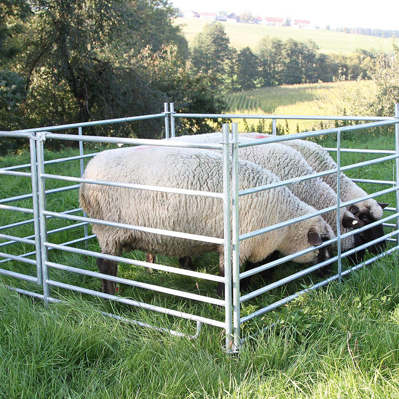 Sheep Panel