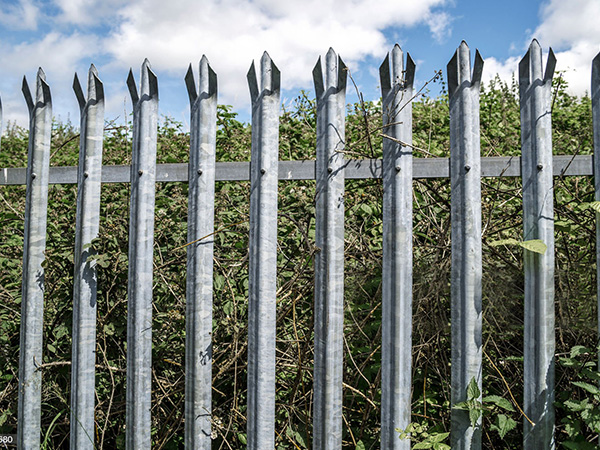 Galvanized Galvanized