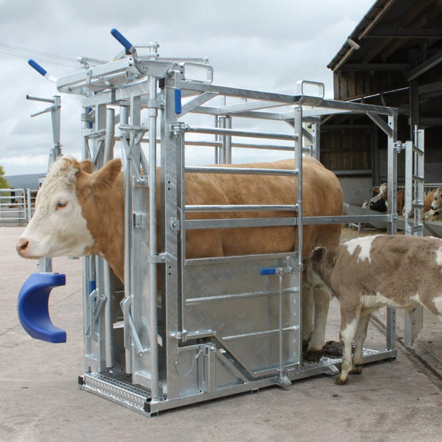 Heavy-Duty Cattle Crush