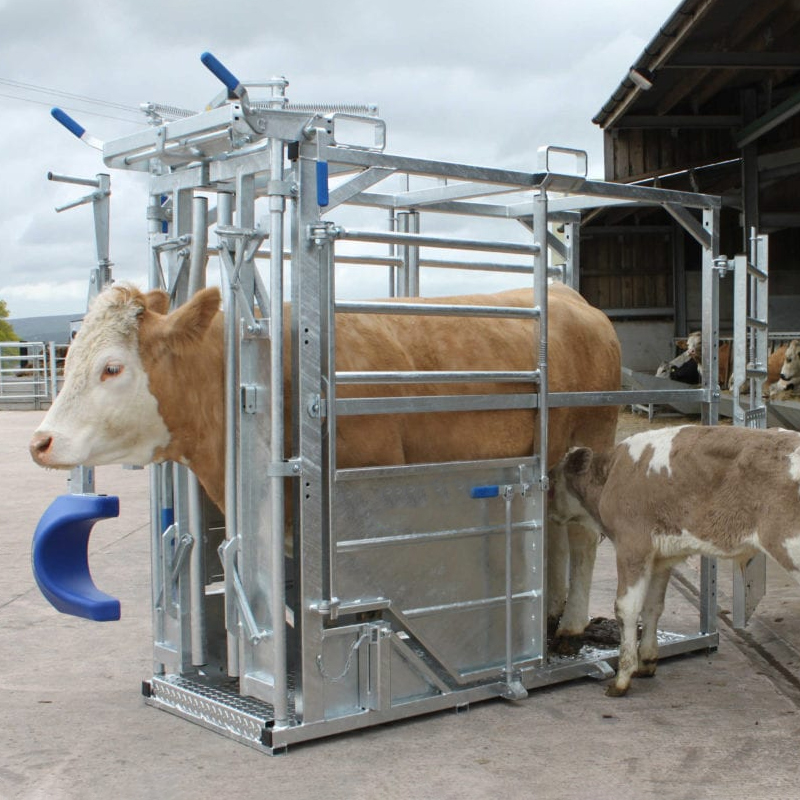 Heavy-Duty Cattle Crush