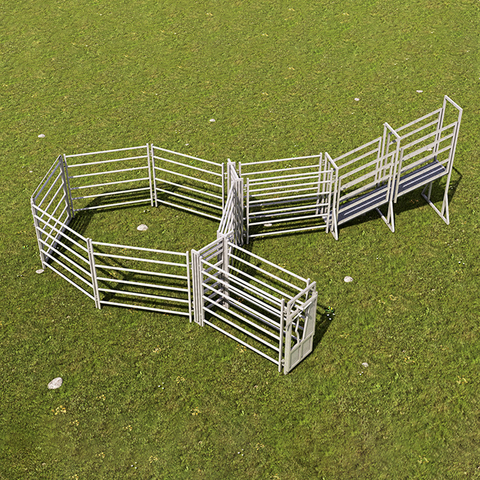 Cattle Ramp