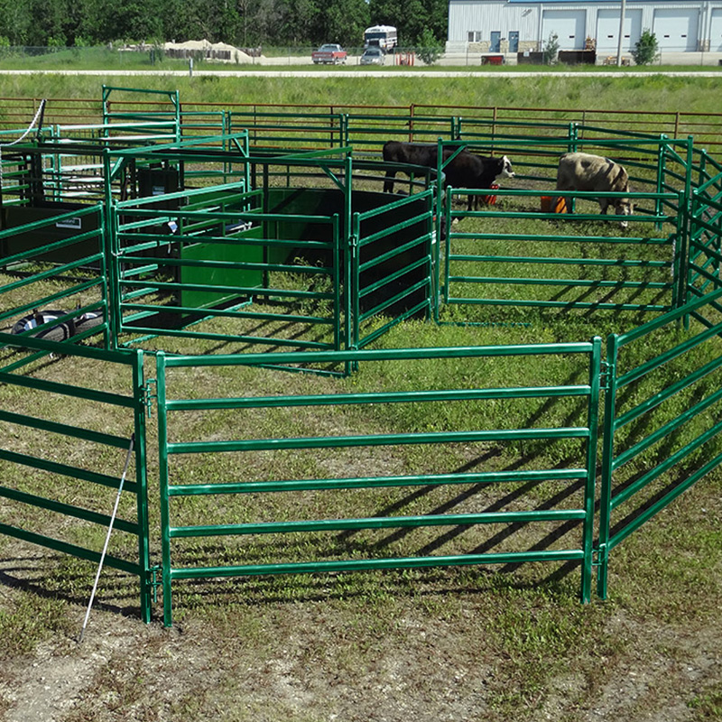 Cattle Panel