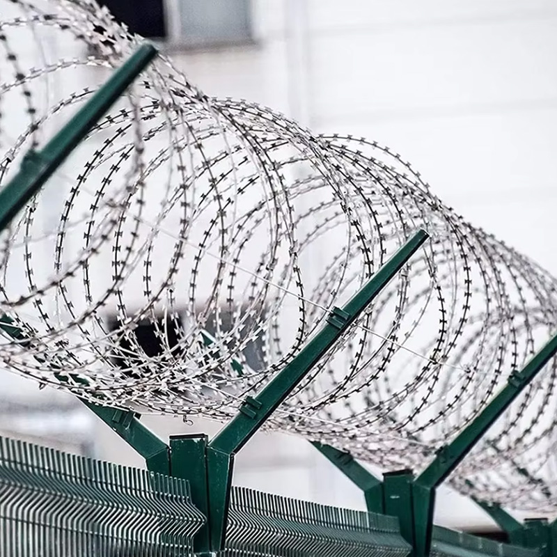 Snake Razor Barbed Wire