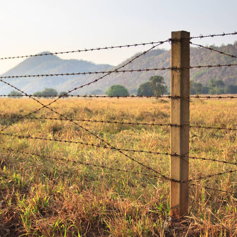 Barbed Wire