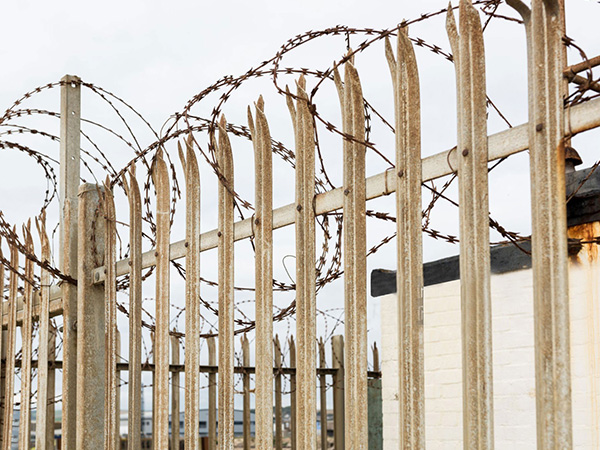 Razor-Wires Razor-Wires