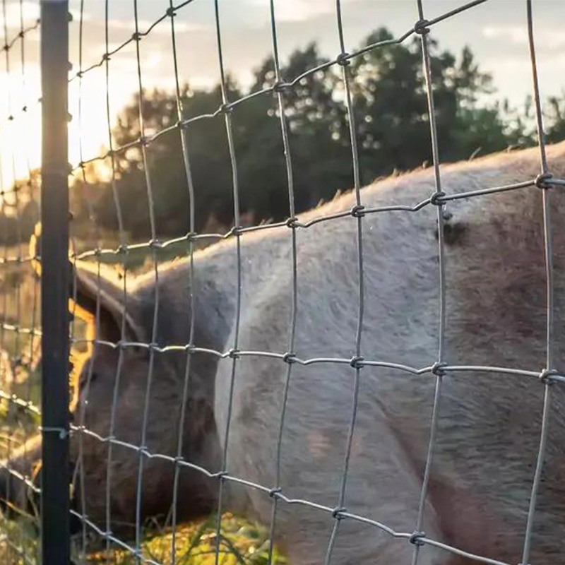 Square Knot Field Fence