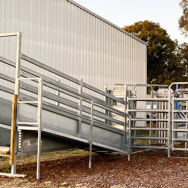 Cattle Ramp