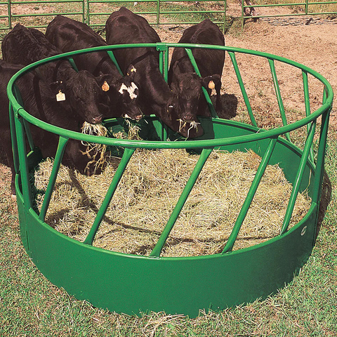 Heavy-Duty Cattle Feeder
