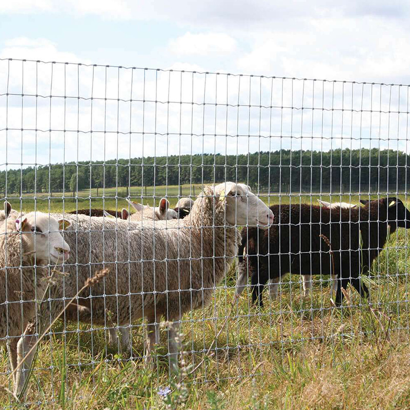 Square Knot Field Fence