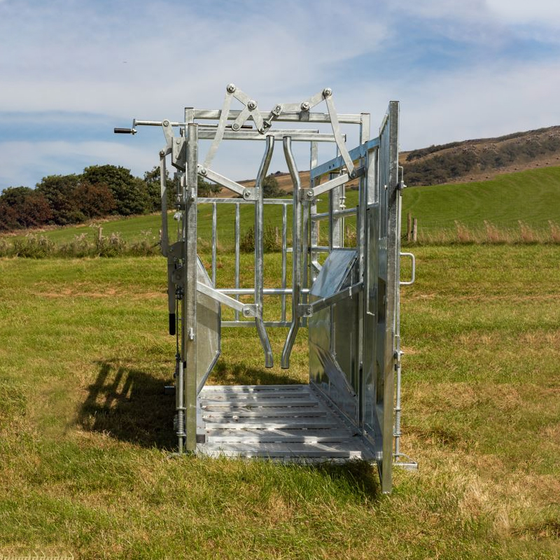 Heavy-Duty Cattle Crush