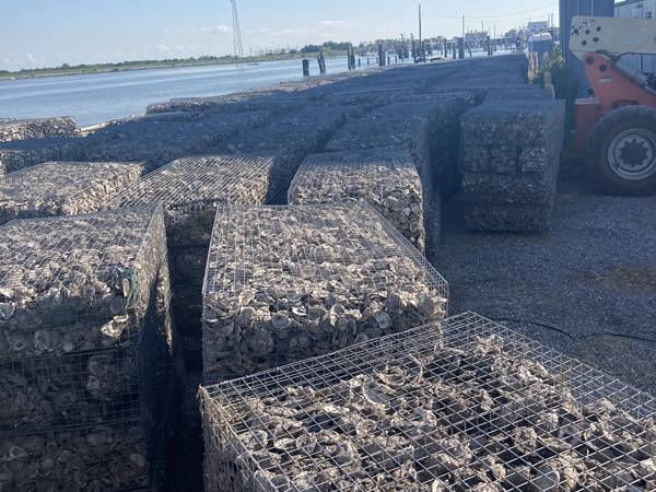 bank-protection-project