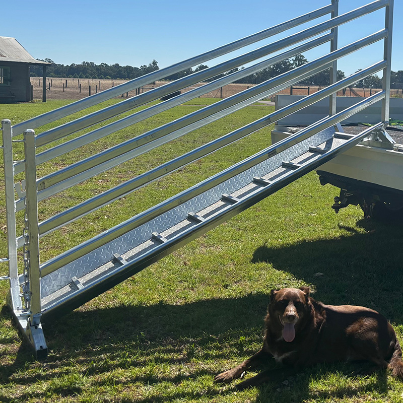 Sheep Loading Ramp
