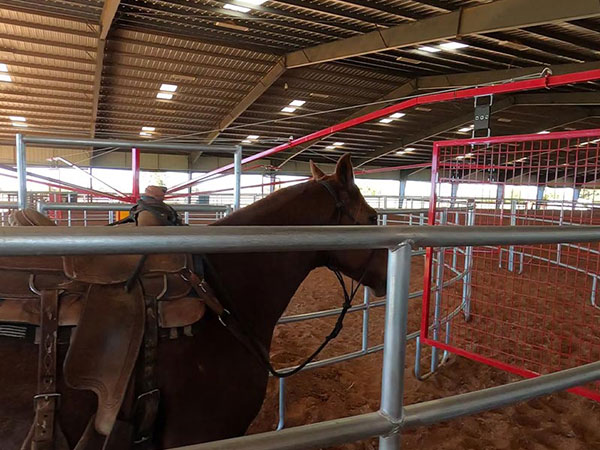 Horse-Rehabilitation-Centers