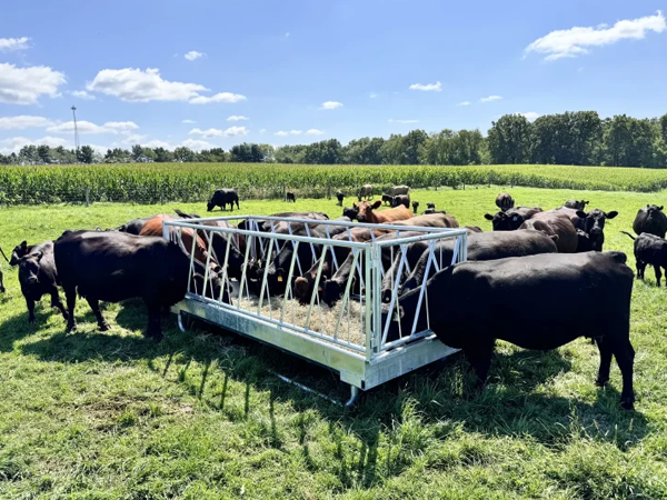 Multifunctional-Farm